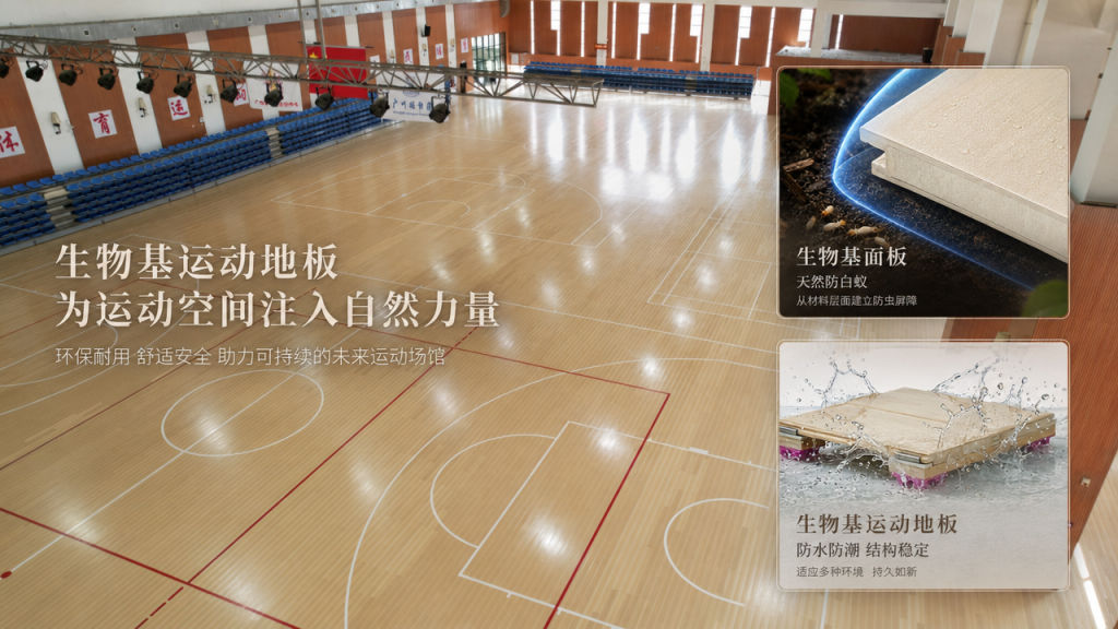 南方體育館運(yùn)動(dòng)地板案例，生物基運(yùn)動(dòng)地板防潮防白蟻，適配高濕多雨地區(qū)場(chǎng)館建設(shè)