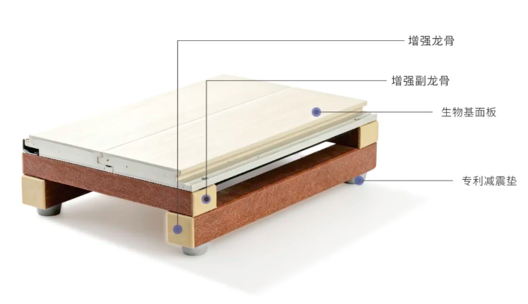 運(yùn)動(dòng)地板結(jié)構(gòu)示意圖